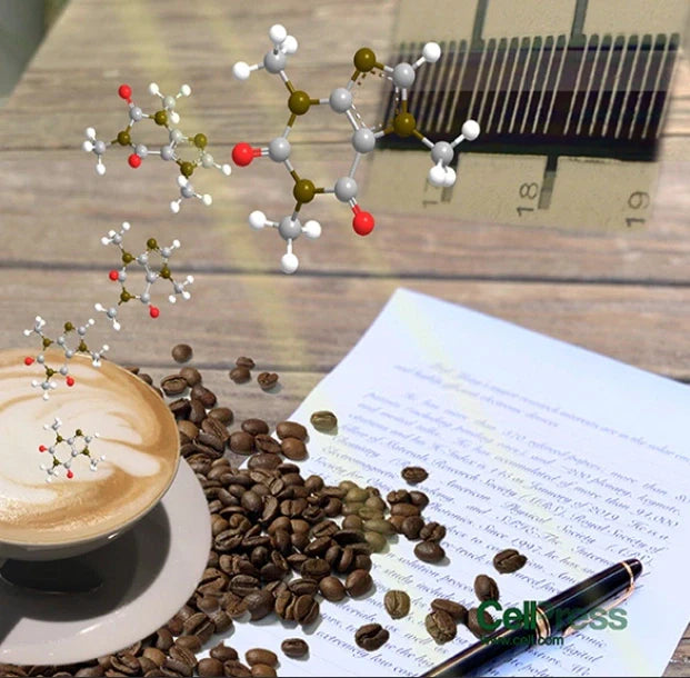 Caffeine Peps Up Solar Energy - Scientific American